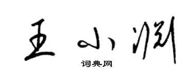 梁锦英王小渊草书个性签名怎么写