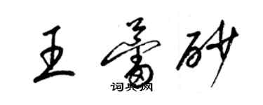 梁锦英王蕾砂草书个性签名怎么写