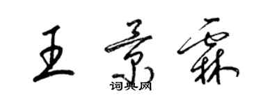 梁锦英王景霖草书个性签名怎么写