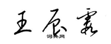 梁锦英王辰霞草书个性签名怎么写