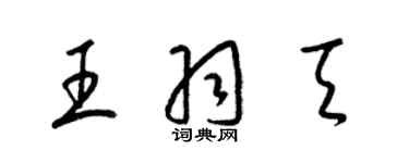 梁锦英王羽天草书个性签名怎么写