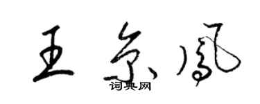 梁锦英王京凤草书个性签名怎么写