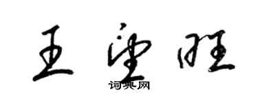 梁锦英王望旺草书个性签名怎么写