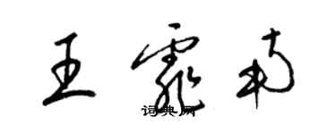 梁锦英王霏南草书个性签名怎么写