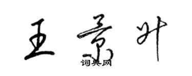 梁锦英王景升草书个性签名怎么写