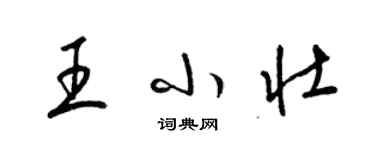 梁锦英王小壮草书个性签名怎么写