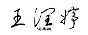 梁锦英王润婷草书个性签名怎么写