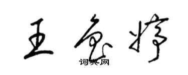梁锦英王鲁婷草书个性签名怎么写