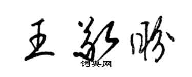 梁锦英王敬盼草书个性签名怎么写