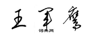 梁锦英王军鹰草书个性签名怎么写