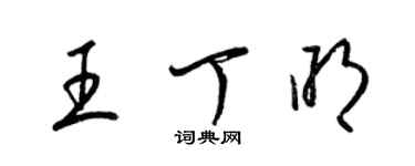 梁锦英王丁明草书个性签名怎么写