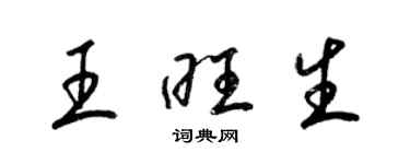 梁锦英王旺生草书个性签名怎么写