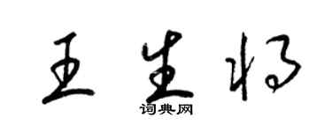 梁锦英王生将草书个性签名怎么写