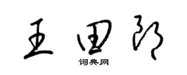 梁锦英王田朗草书个性签名怎么写
