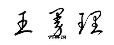 梁锦英王曼理草书个性签名怎么写