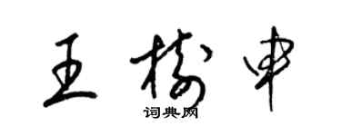 梁锦英王树申草书个性签名怎么写