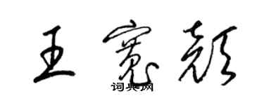梁锦英王宽颜草书个性签名怎么写