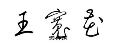 梁锦英王宽花草书个性签名怎么写