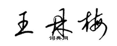 梁锦英王鼎梅草书个性签名怎么写