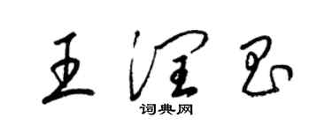 梁锦英王润昌草书个性签名怎么写