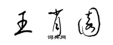 梁锦英王肖园草书个性签名怎么写
