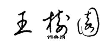 梁锦英王树园草书个性签名怎么写