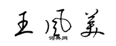 梁锦英王风美草书个性签名怎么写