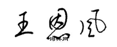 梁锦英王恩风草书个性签名怎么写