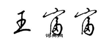 梁锦英王富富草书个性签名怎么写