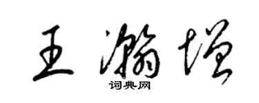 梁锦英王瀚增草书个性签名怎么写