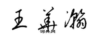 梁锦英王华瀚草书个性签名怎么写