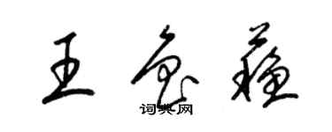 梁锦英王鲁苏草书个性签名怎么写