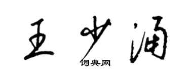 梁锦英王少涌草书个性签名怎么写