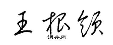 梁锦英王根领草书个性签名怎么写