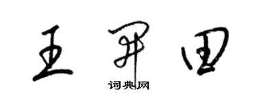 梁锦英王开田草书个性签名怎么写