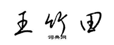梁锦英王竹田草书个性签名怎么写