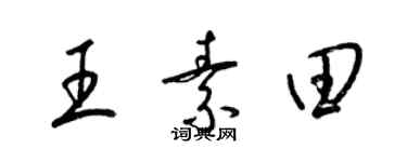 梁锦英王素田草书个性签名怎么写