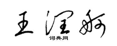 梁锦英王润舸草书个性签名怎么写