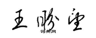 梁锦英王盼望草书个性签名怎么写