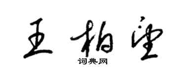 梁锦英王柏望草书个性签名怎么写