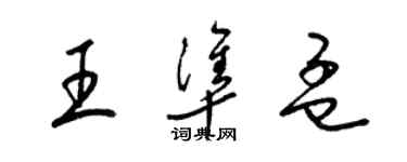 梁锦英王准孟草书个性签名怎么写