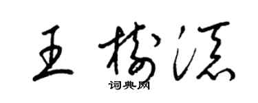 梁锦英王树添草书个性签名怎么写