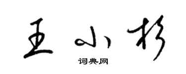 梁锦英王小杉草书个性签名怎么写