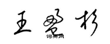 梁锦英王盈杉草书个性签名怎么写