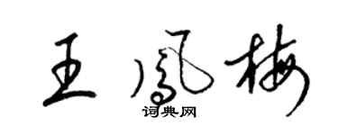 梁锦英王凤梅草书个性签名怎么写