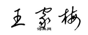 梁锦英王家梅草书个性签名怎么写