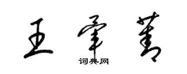 梁锦英王荤菁草书个性签名怎么写