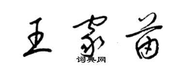 梁锦英王家苗草书个性签名怎么写
