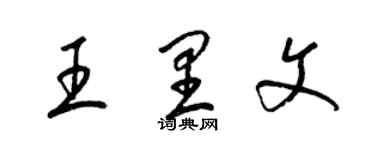 梁锦英王里文草书个性签名怎么写