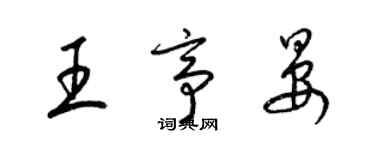 梁锦英王亭晏草书个性签名怎么写